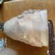 Pair of art deco silvered bronze wall lights with tulips signed ros