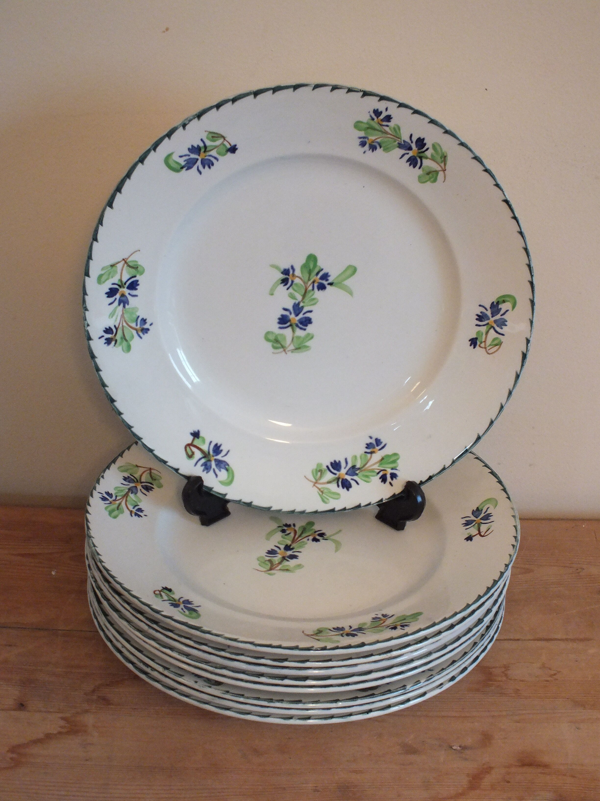 10 flat plates in Iron earth blueberry décor