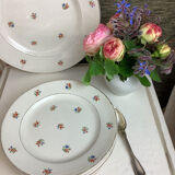 6 dessert plates made in france digoin