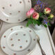 6 dessert plates made in france digoin