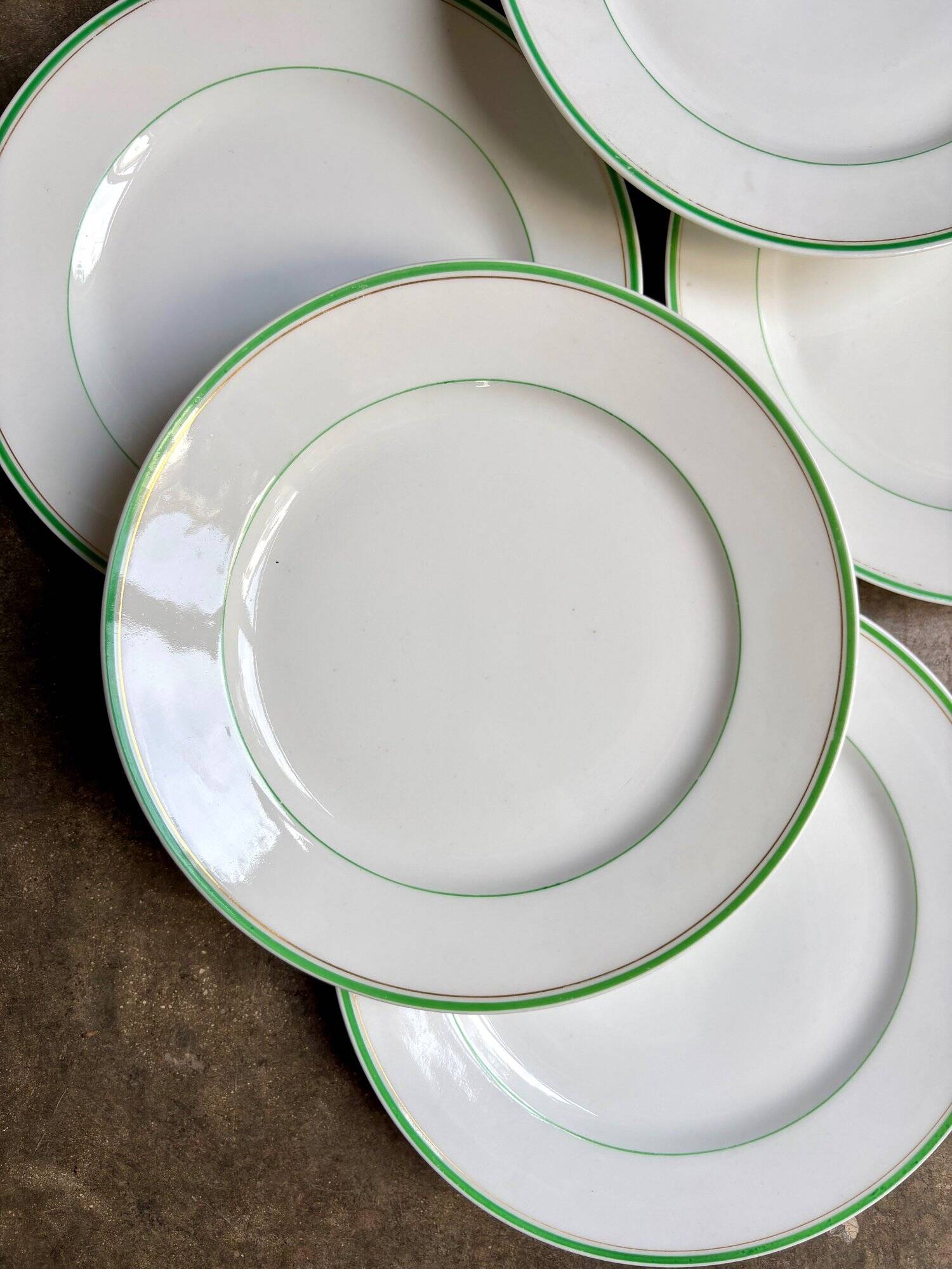 6 Ed. Honoré dinner plates in pale green and gold porcelain