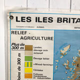 Vintage British Isles School Map Poster