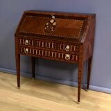 Rosewood and Mahogany Sloping Desk, Louis XVI Style – Mid-19th Century