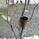 Candle holder, vintage metal chandelier