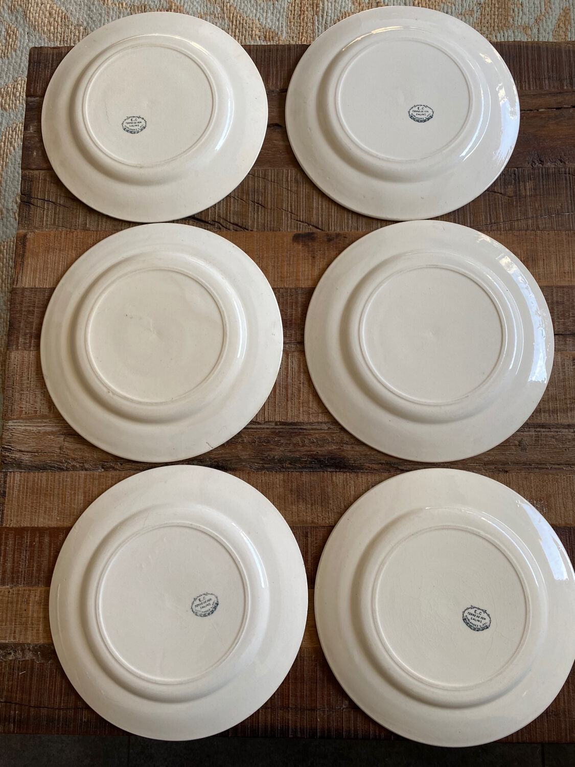 6 flat plates Terre de Fer Salins model Garlands L.XVI