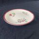 12 Digoin Sarreguemines "Strasbourg" pattern dinner plates