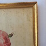 Redouté pink botanical board painting