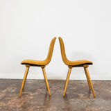 Set of 6 chairs model A 6150 from Zakłady Mebli Giętych Radomsko Fameg1960s