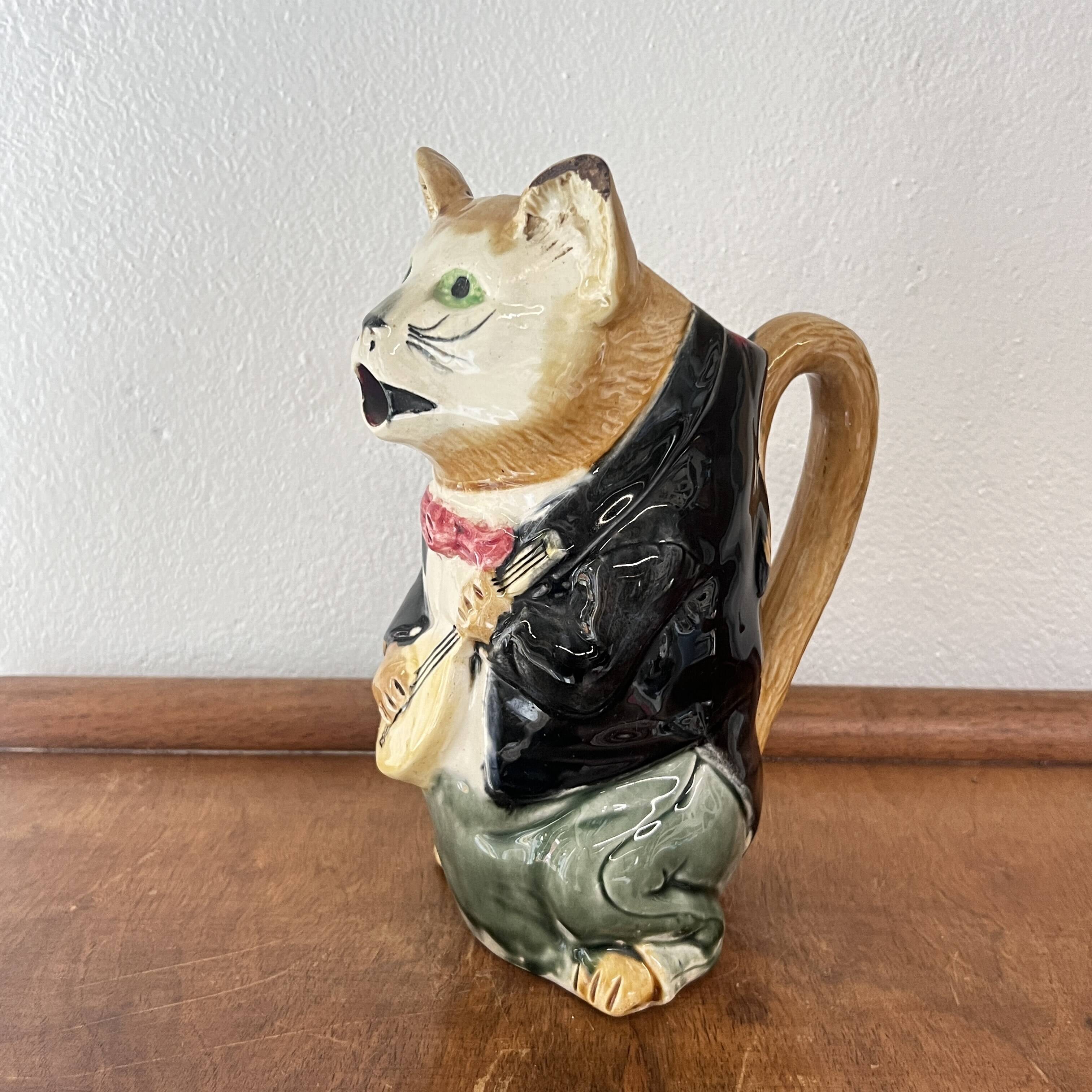 Musician cat slushie pitcher