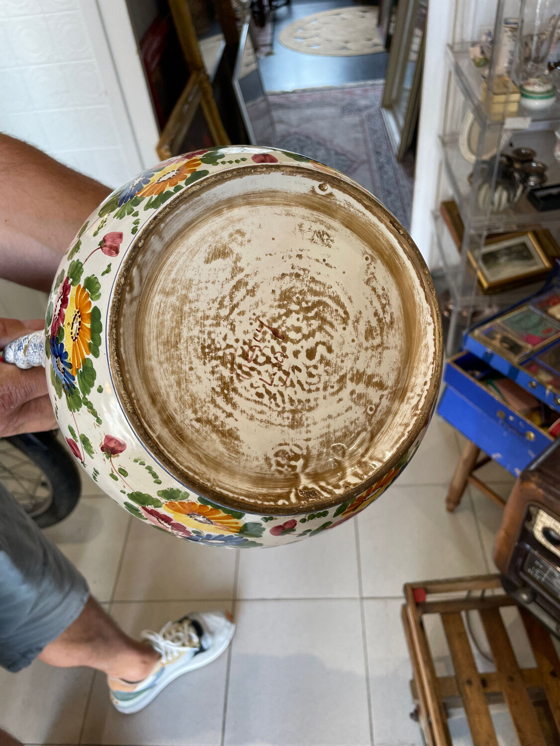 Great Mediterranean pitcher