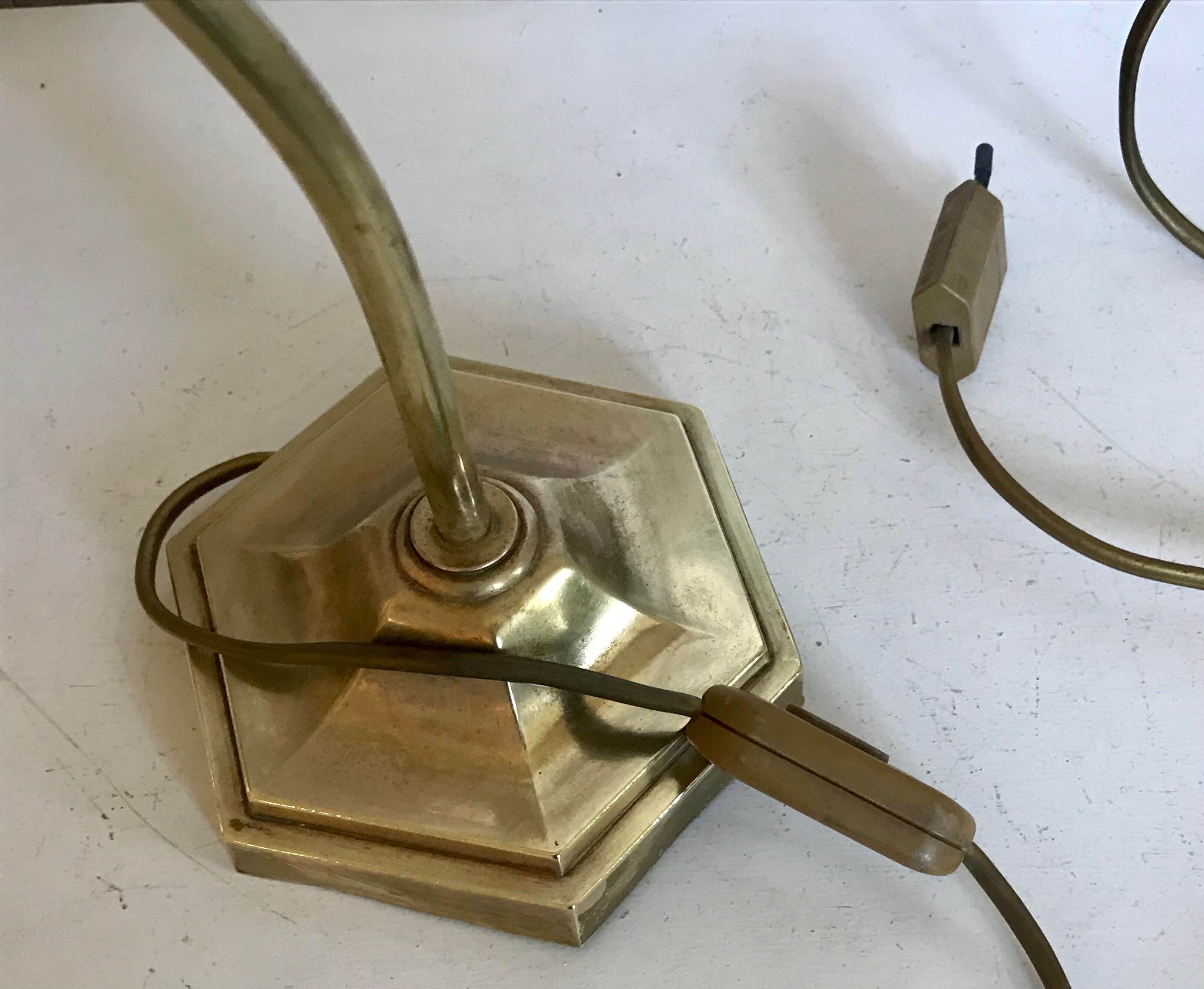 Brass gooseneck lamp