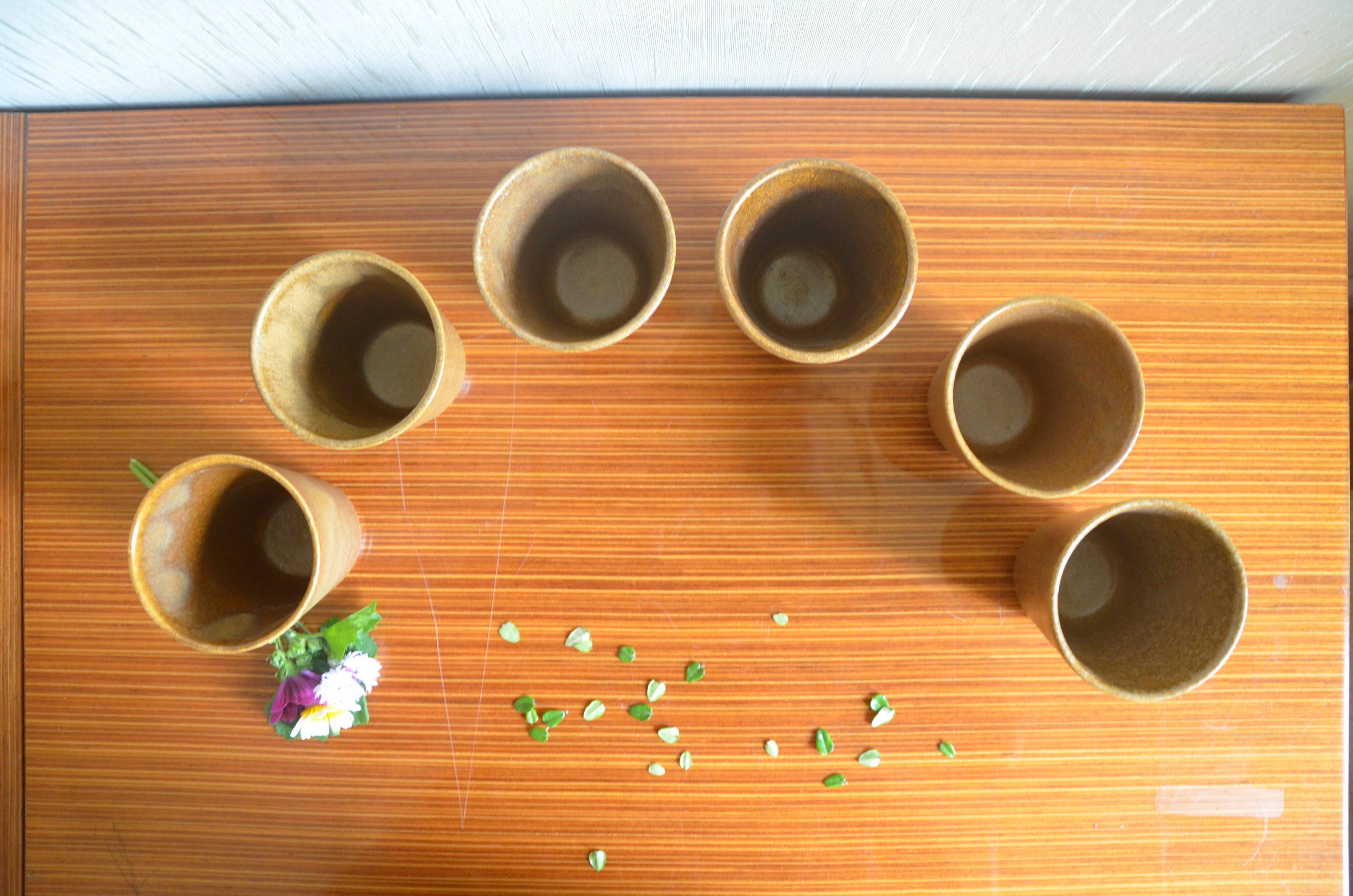 Set of 6 Digoin stoneware glasses