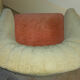 Design club Chair Italian years 50-60 bi color
