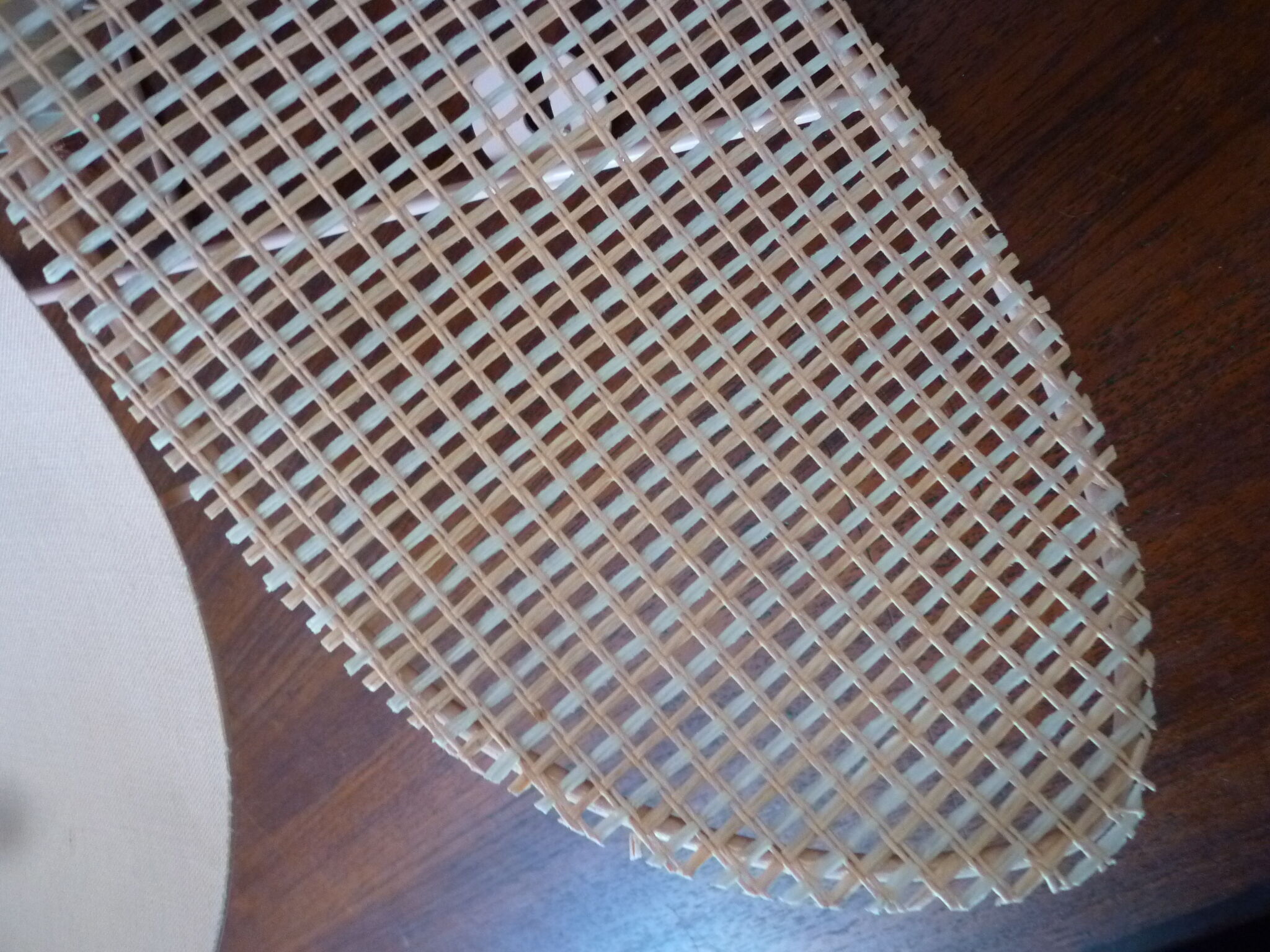 Duo of pink corolla sconces