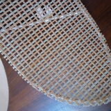 Duo of pink corolla sconces