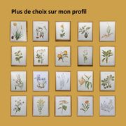 Botanical poster -Mauve- Illustration of medicinal plants and herbs by Michaud