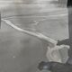 Photographies anciennes noir et blanc argentique début XXe