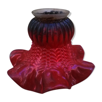 Ancient tulip
