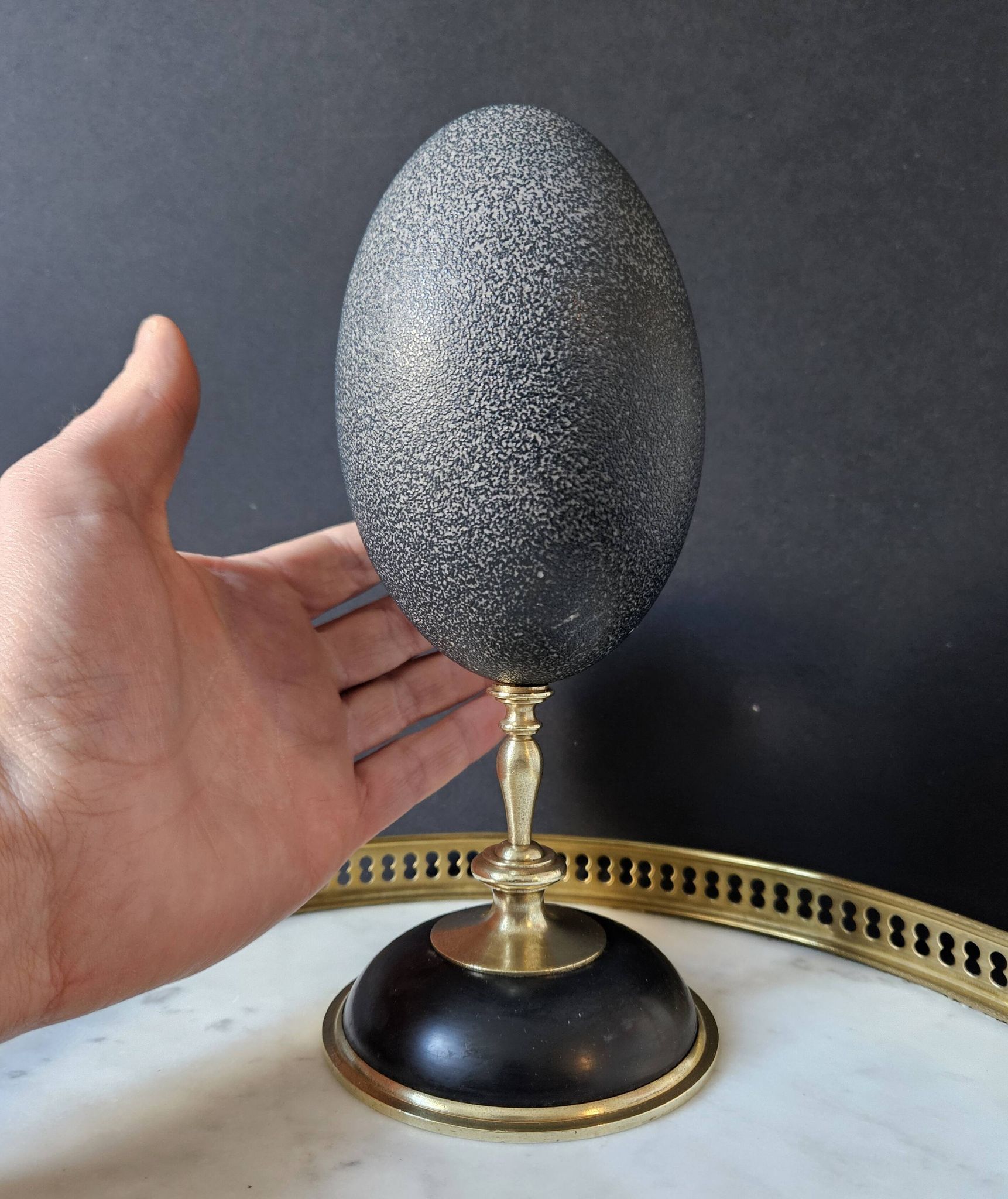 Oeuf d'Émeu, Socle Laiton et Marbre Noir (Début XXè) H : 21 cm | Curiosité