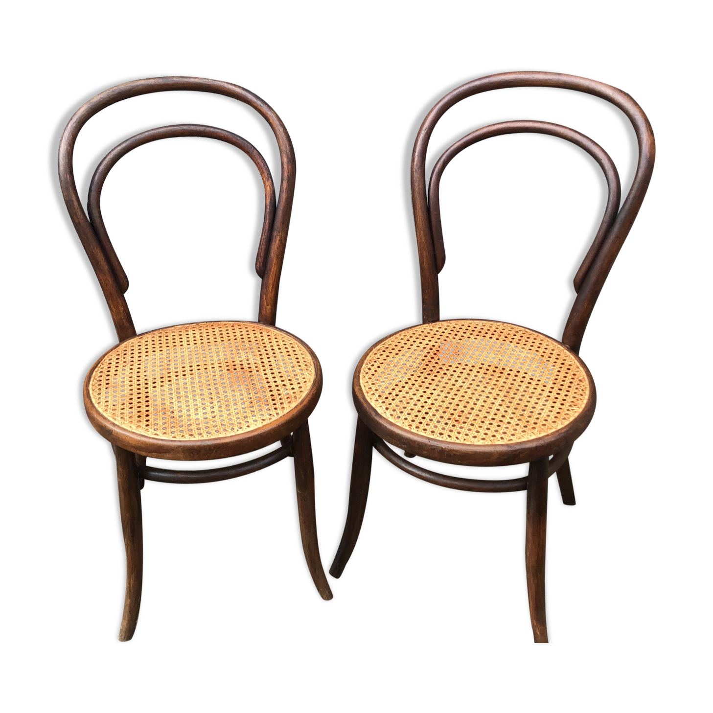 Pair of chairs curved wood tuna and Nr 14