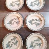 Assiettes x6 St Amand terre de fer 1900s