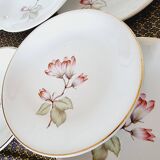 7 Mangnolias Dessert Plates 19.5cm with Gold profile.