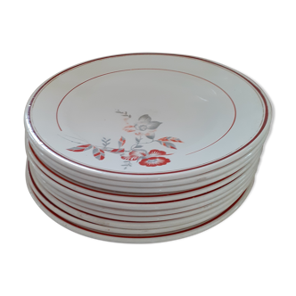 Loe de 10 assiettes plates  Salins, France fleurs rouge orangé