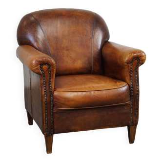 Magnifique fauteuil en cuir de mouton avec coussin fixe et couleurs époustouflantes