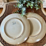 Set of four vintage stoneware plates