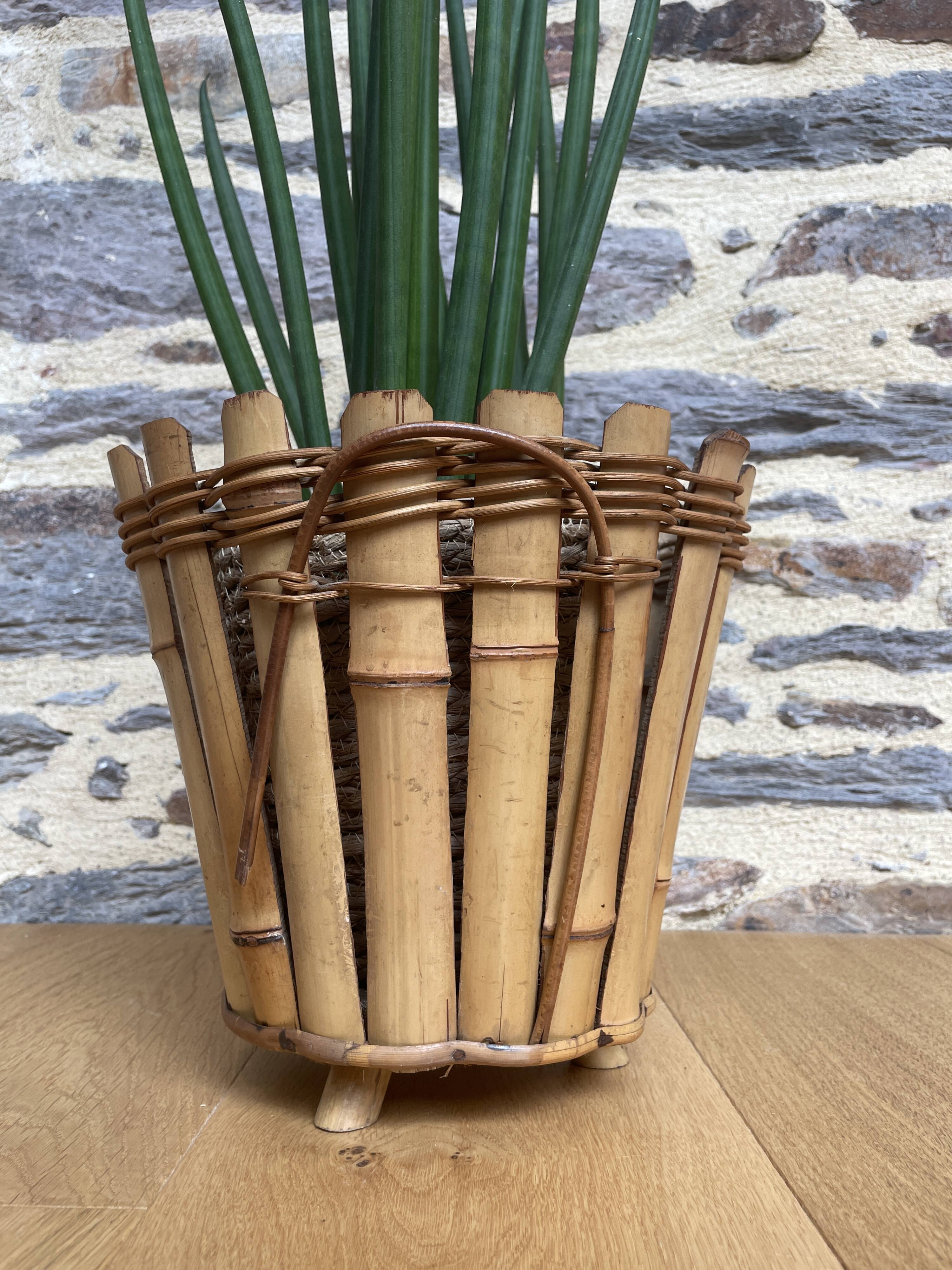 Bamboo planter