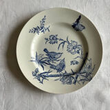 Set of 4 plates in iron earth, Aucella de Saint Amand