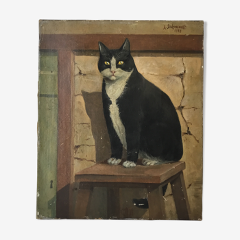 Portrait de chat 1938