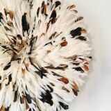 Speckled white jujuhat 65 cm