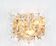 1 of 2 Superb Extra Large Crystal Wall Sconce by Kinkeldey, Germany, 1970s