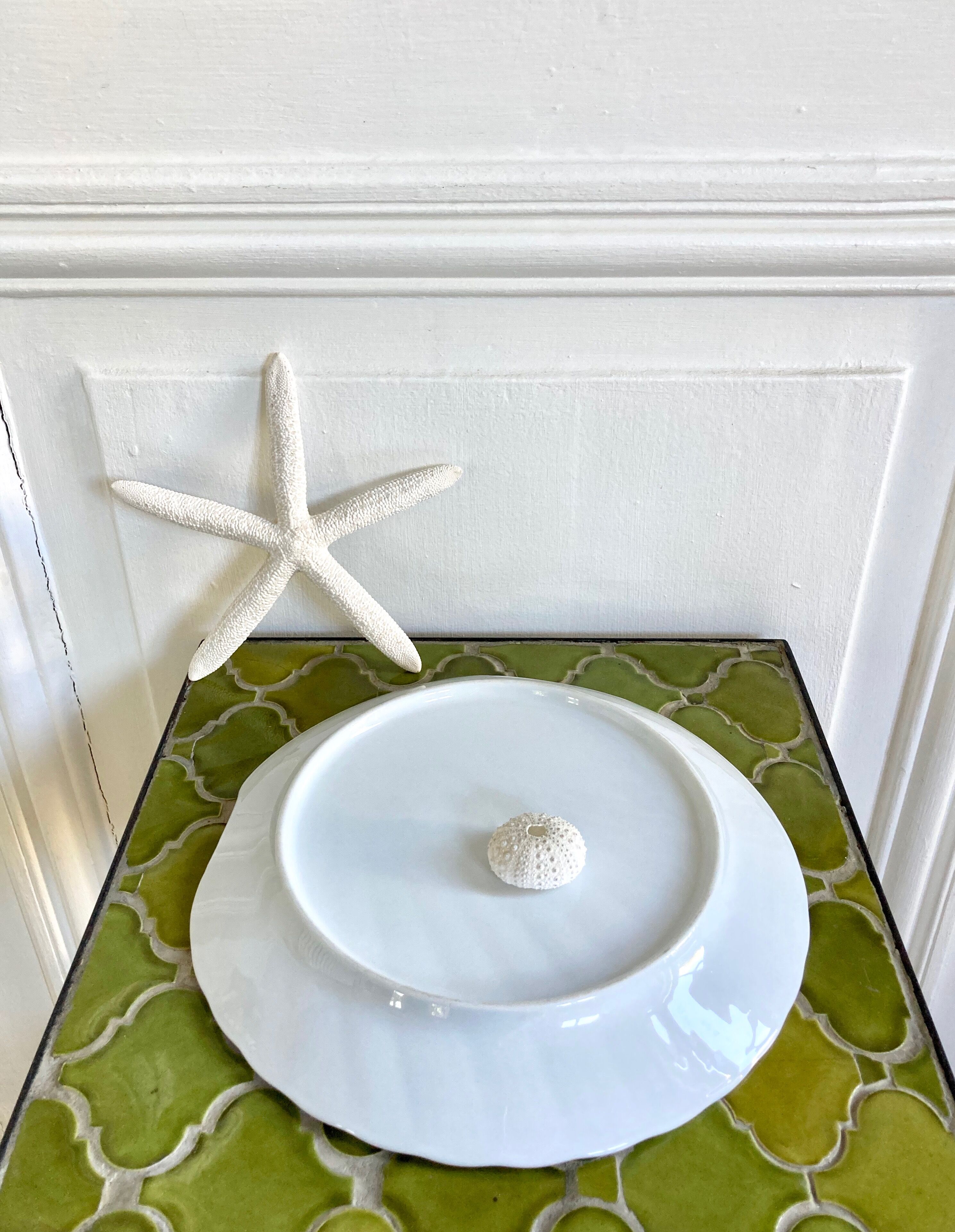 Porcelain scallop dish