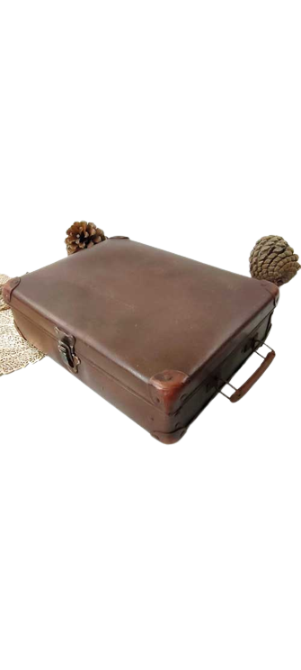 Atypical cardboard suitcase