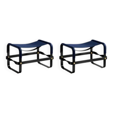 Blue Wanderlust footrest pair with black steel.