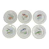Set of 6 plates sea pattern Digoin Sarreguemines.