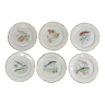 Set of 6 plates sea pattern Digoin Sarreguemines.