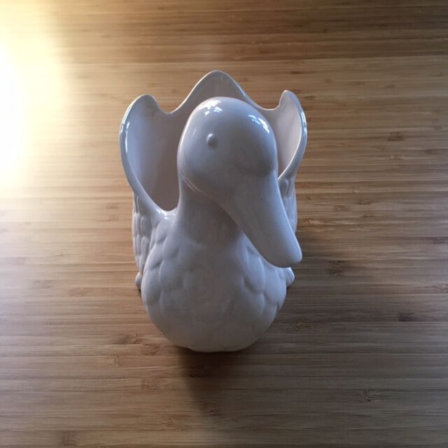 Empty ceramic pocket duck