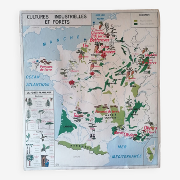 Ancienne affiche scolaire MDI : France « Cultures industrielles et forêts » / Garonne