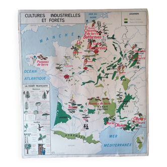 Ancienne affiche scolaire MDI : France « Cultures industrielles et forêts » / Garonne