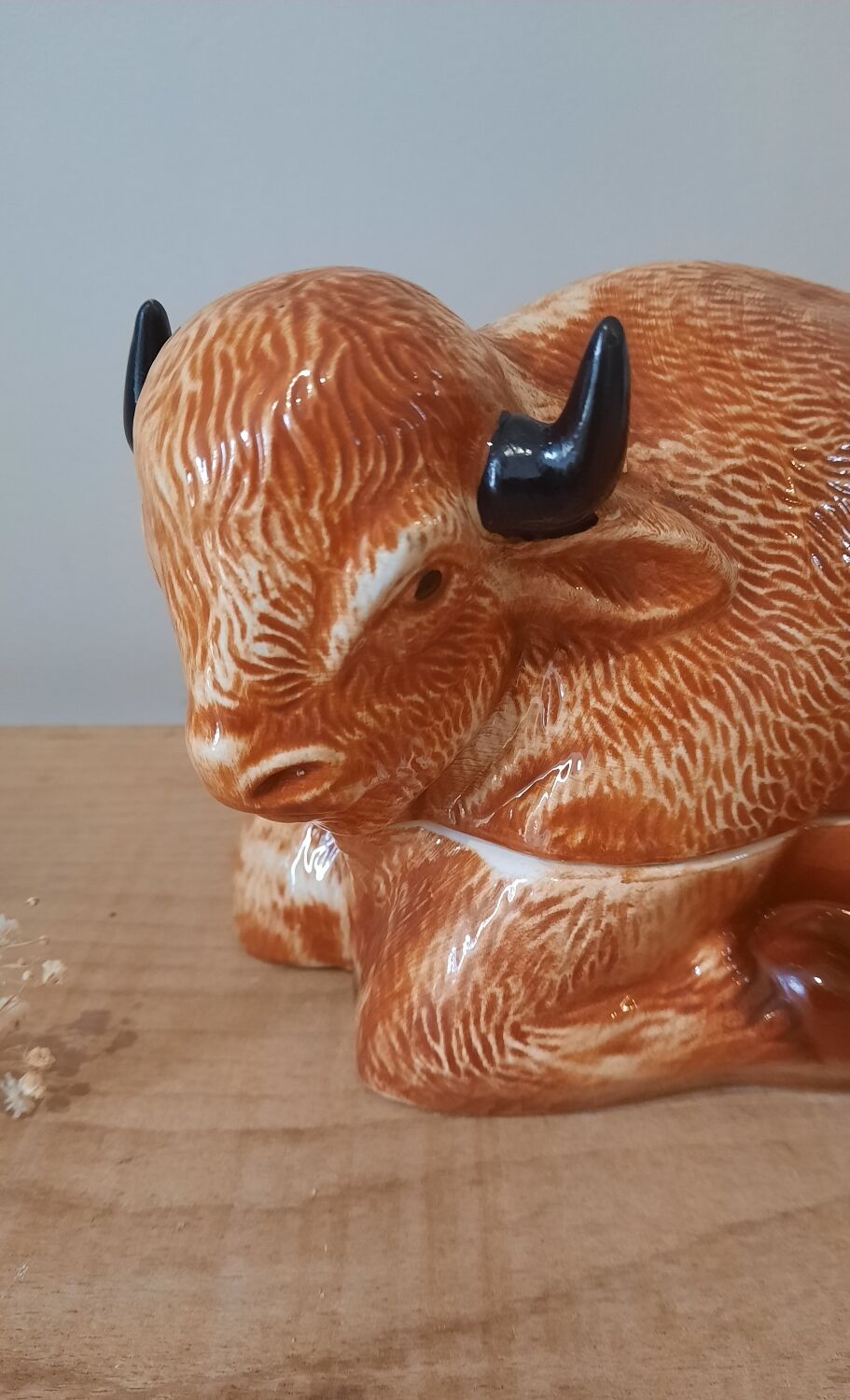 Terrine Bison Michel Caugan