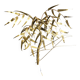 Palm tree wall light by Daniel D'Haeseleer, 1970s