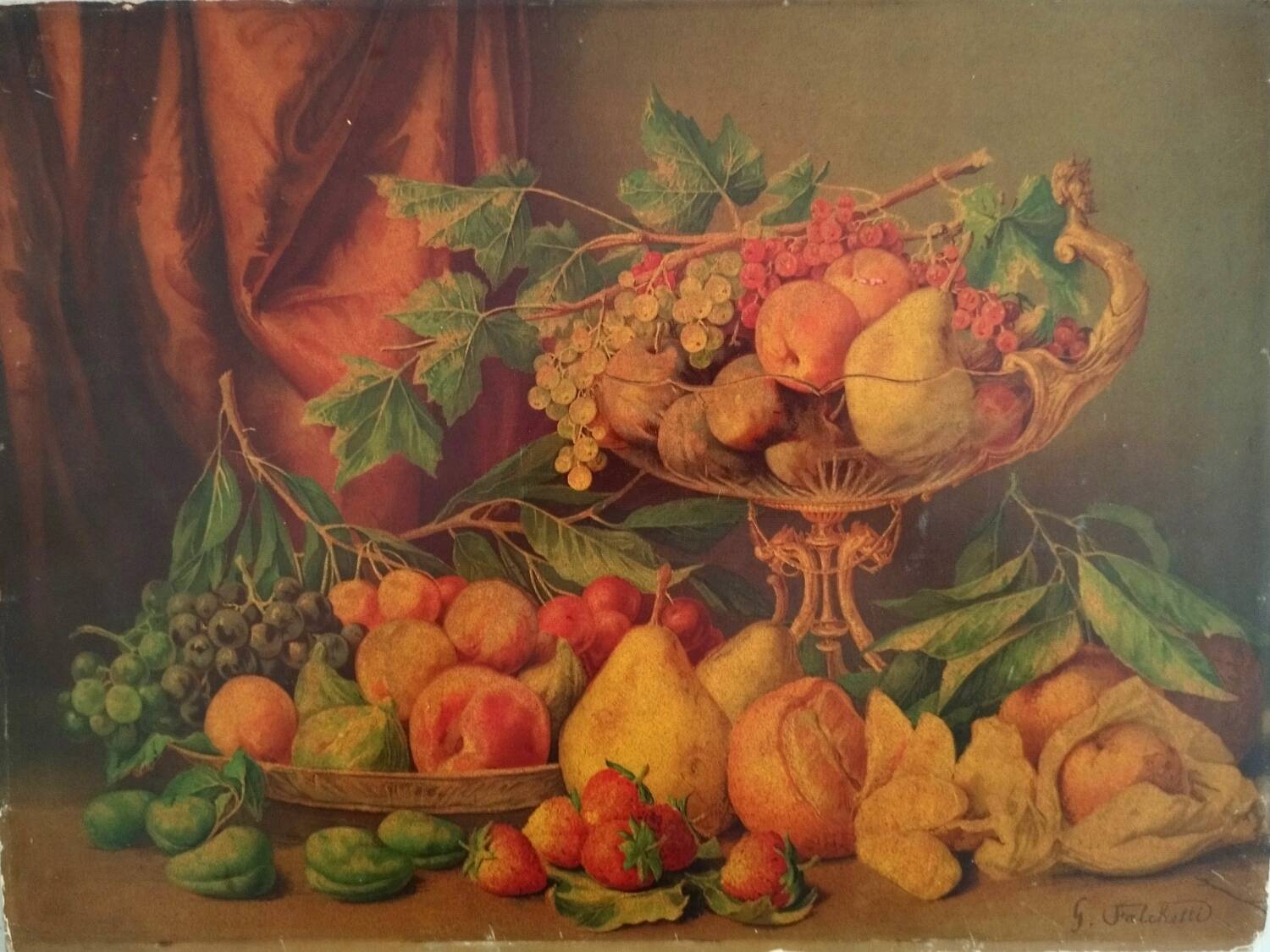 Chromolithograph Still Life Fruits Signed G. Falchetti