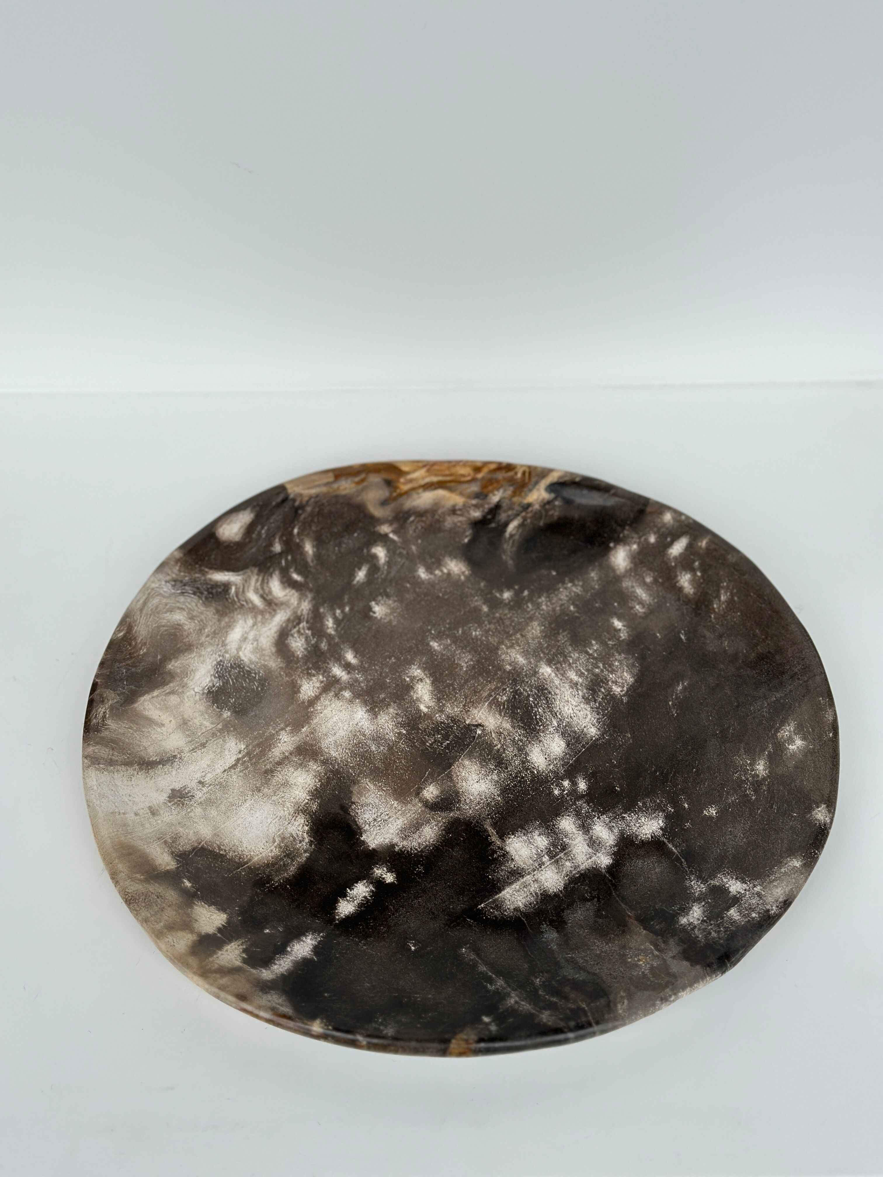 Dish in petrified wood