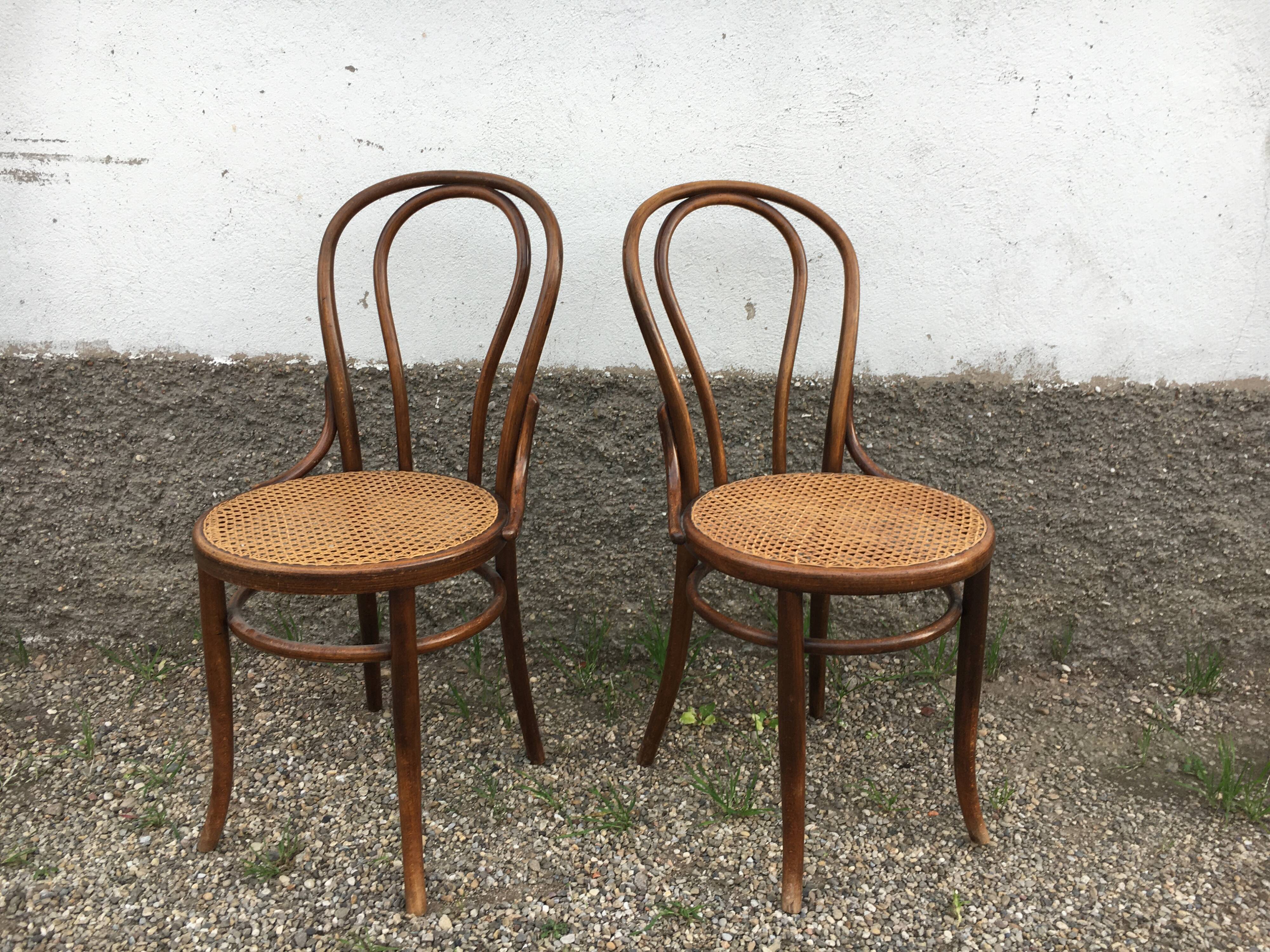 Pair of fischel chairs made in Austria curved wood