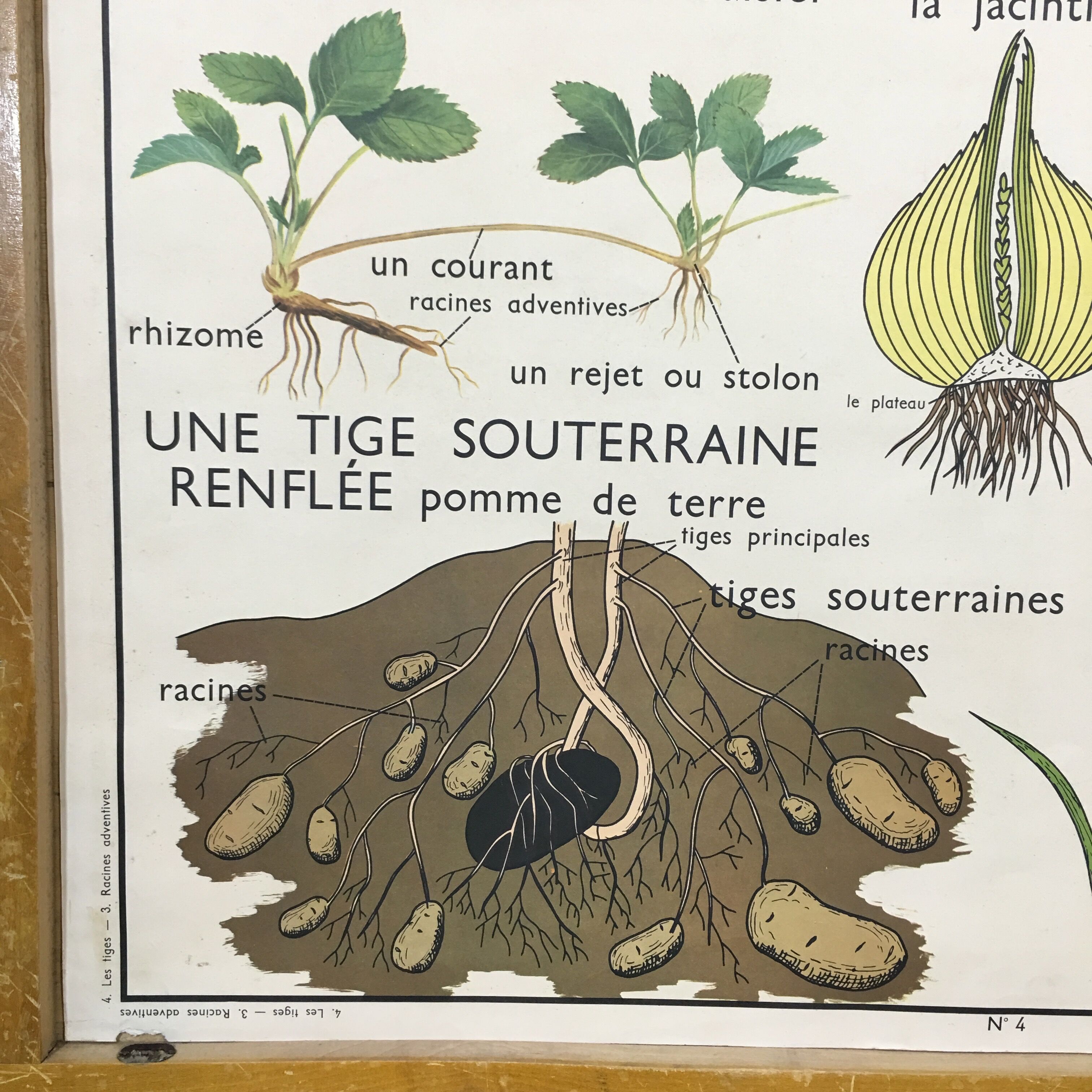 School poster by Rossignol double side