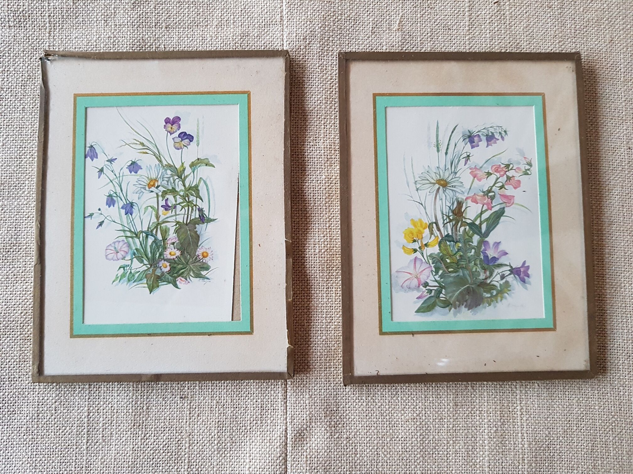 Pair of frames botanical board