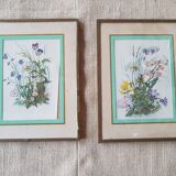 Pair of frames botanical board